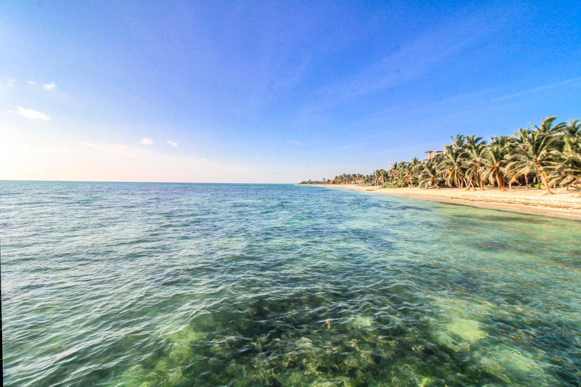 Villa Tankah 7 Cielo Tulum Exteriör bild